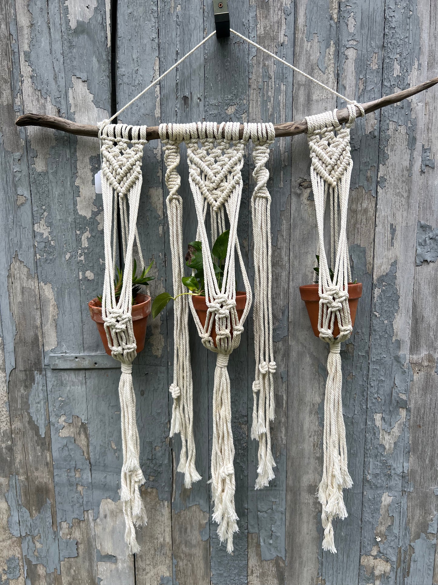 Triple plant hanger