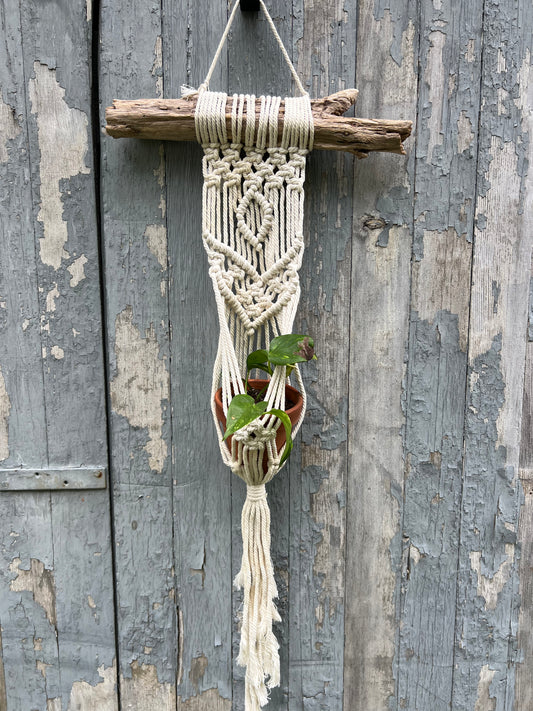 Driftwood plant hanger